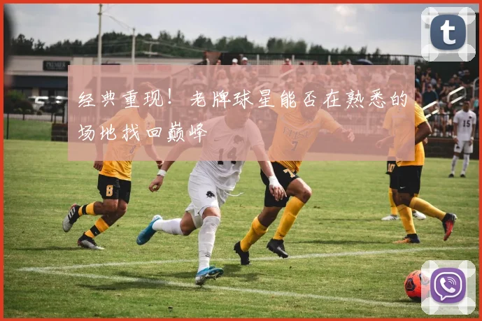 经典重现！老牌球星能否在熟悉的场地找回巅峰