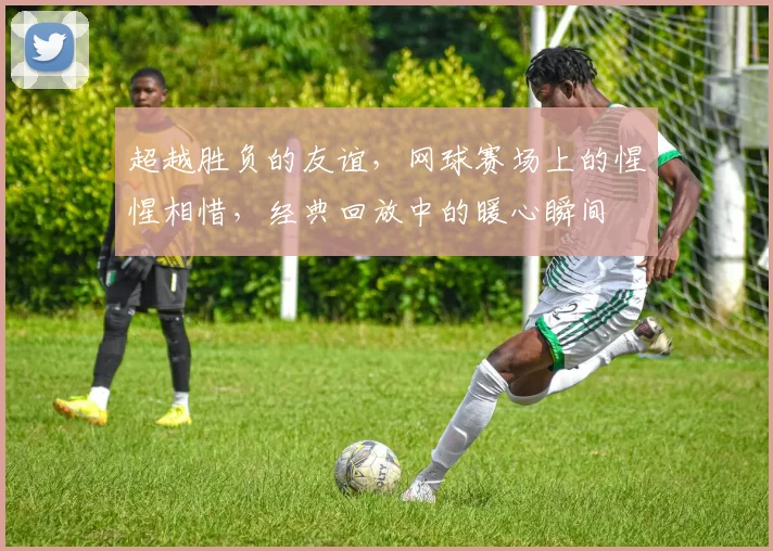 超越胜负的友谊，网球赛场上的惺惺相惜，经典回放中的暖心瞬间